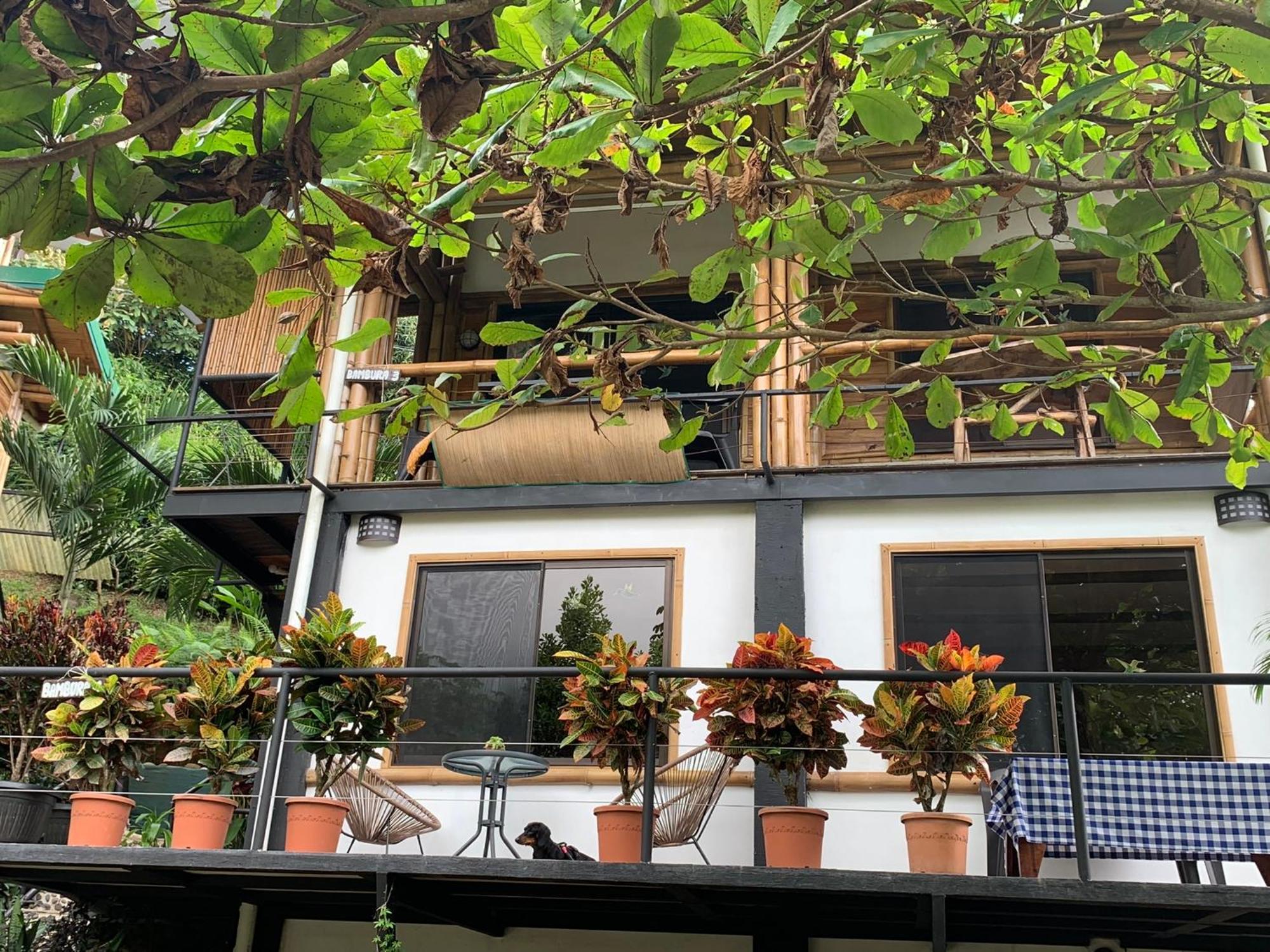 Bambura Hermosa Villas Uvita Luaran gambar