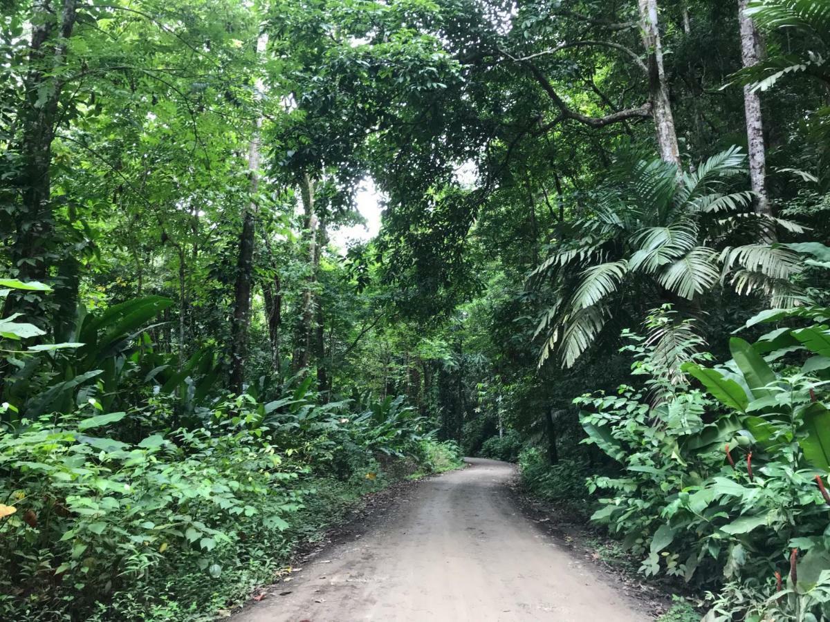 Bambura Hermosa Villas Uvita Luaran gambar